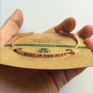 "What if you fly?" Manta Band